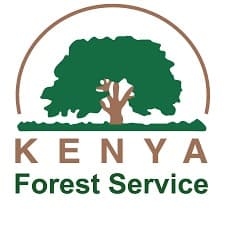 Kenya Forest Service